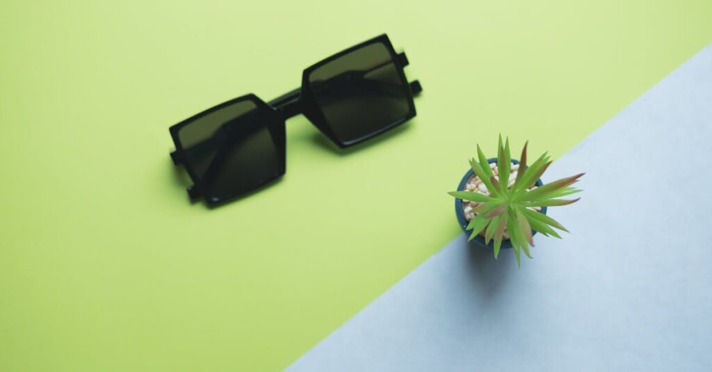 top affordable premium sunglasses brand